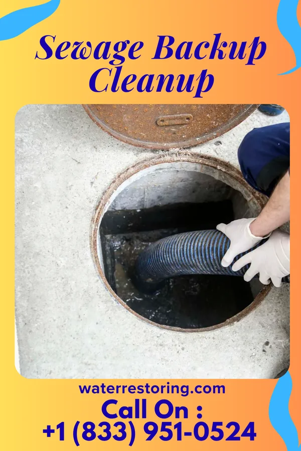 Sewage Backup Cleanup in Cranston, RI